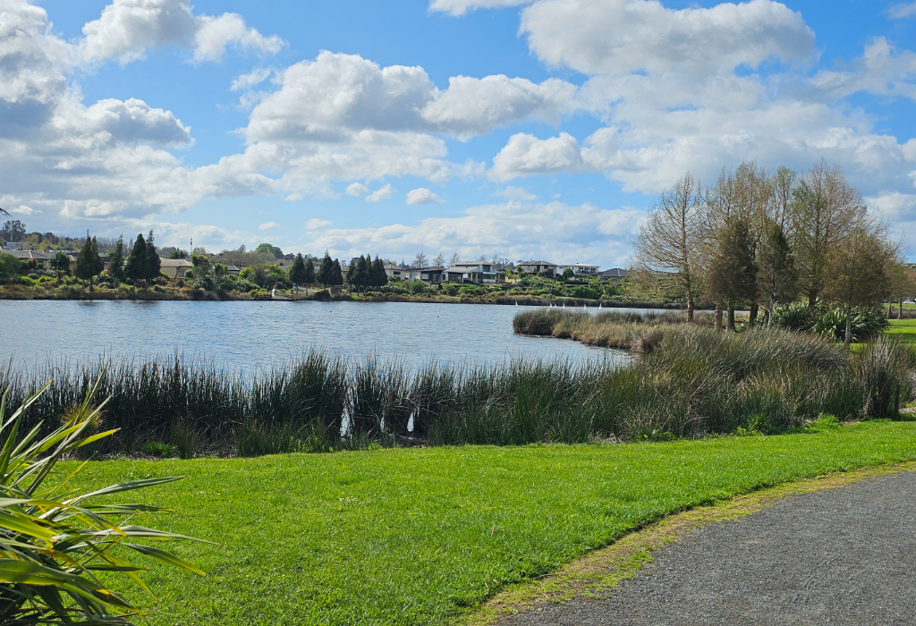 Level grey gravel pathway curves beside a grassy park and a large lake. Wide, unobstructed walking surface bordered by green lawn and dense reeds. Houses and trees line the far shore.
