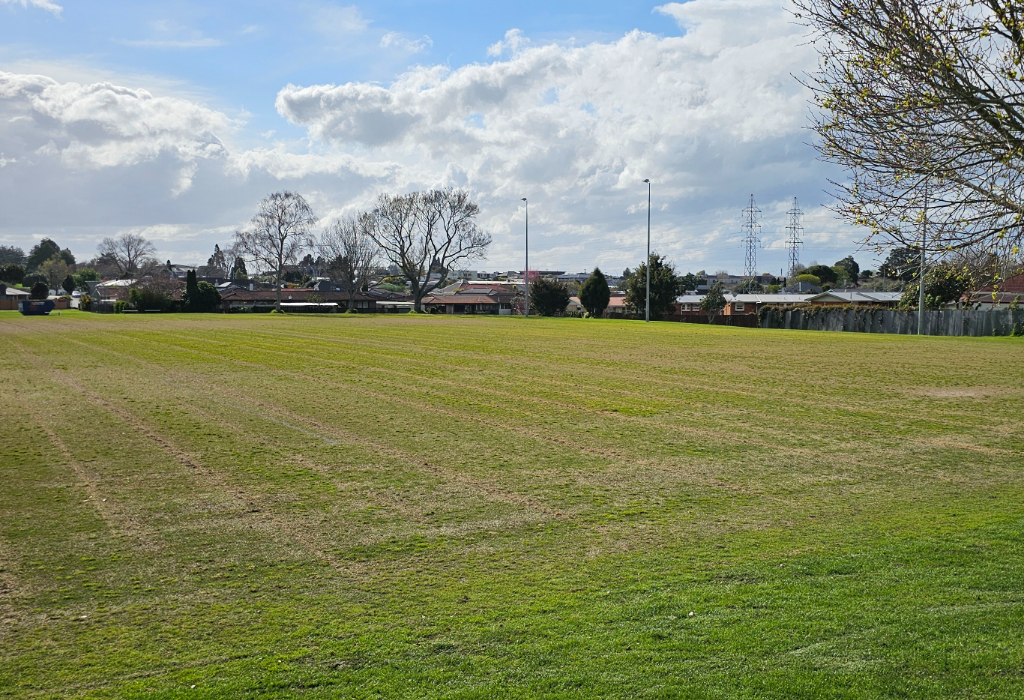 Level mown grass field bordered by houses and trees. Power pylons and tall streetlights in the distance. No paved pathways, ramps, or seating visible on the flat grassy surface.