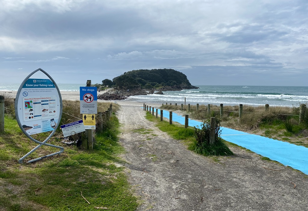 Level gravel path leads towards a beach. A long bright blue mobility mat runs along the right. Timber post-and-wire fencing and informational signage line the entrance.