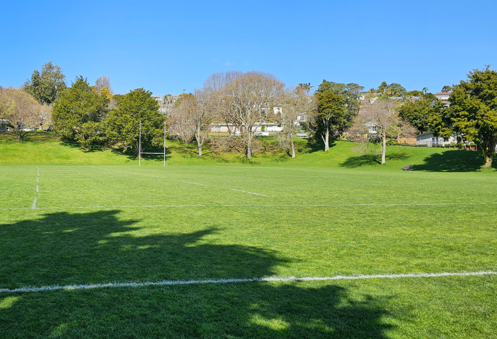 Level green grass sports field with white line markings and tall metal goalposts. A timber bench seat sits on a grassy slope under mature trees in the background.
