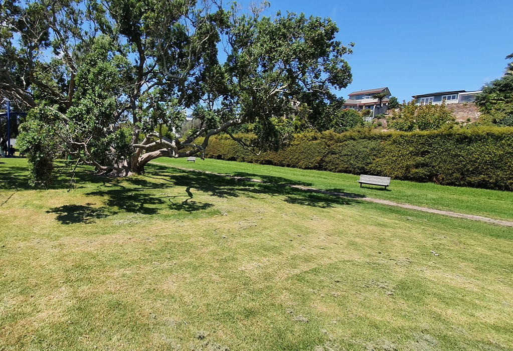 Narrow dirt path through level mown grass. Two grey wooden benches with backrests sit on the grass. A large spreading tree provides shade next to a tall boundary hedge.