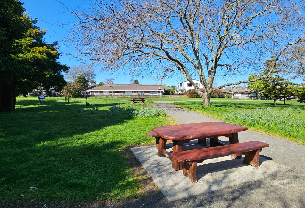 Reddish-brown timber picnic table on a level concrete pad beside a gravel path. Flat grassed parkland leading to residential houses and large trees under a clear blue sky.