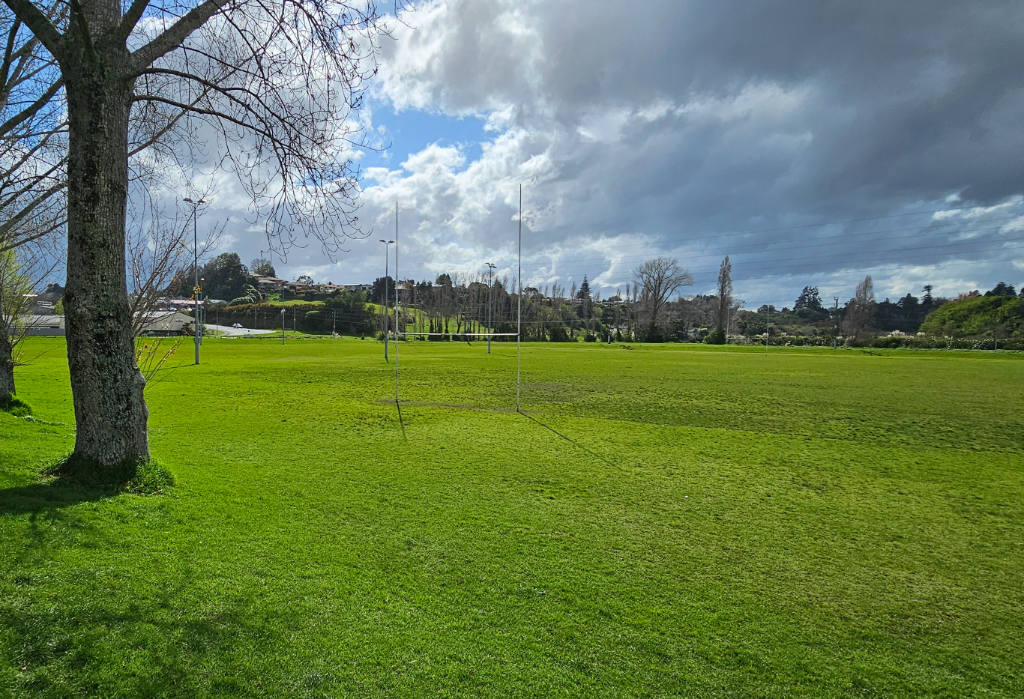Level grassy sports field with white H-shaped rugby goalposts and tall outdoor light poles. A large tree trunk is on the left. Rolling hills and houses are visible in the distance.
