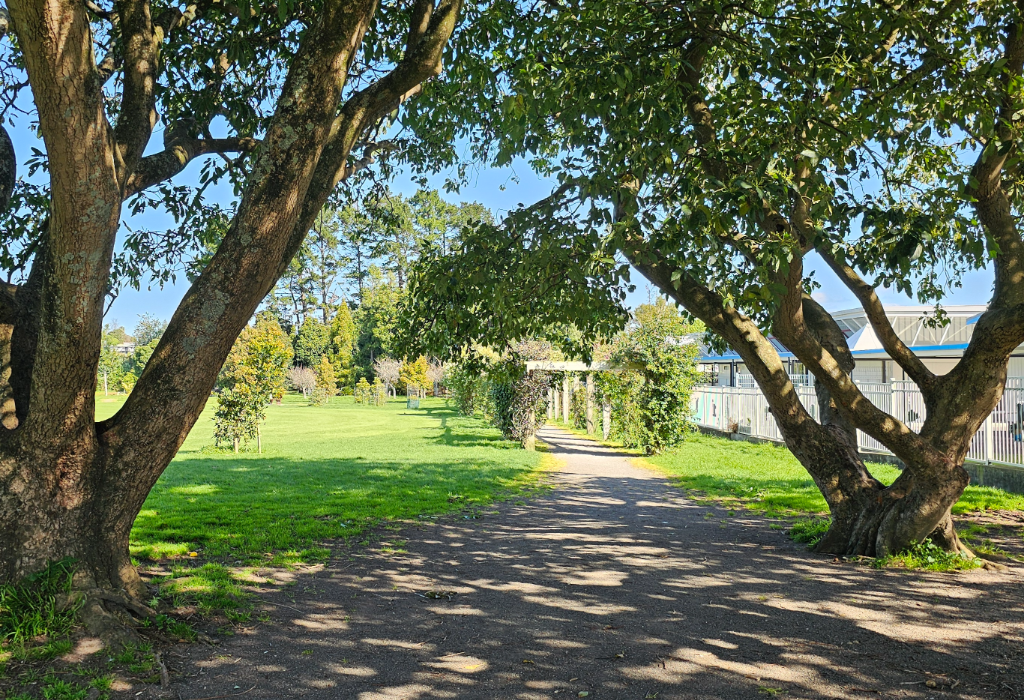 Wide, level dirt and gravel pathway framed by large trees, leading towards a white pergola. Grassy lawn on the left and a white fence on the right. Clear, flat surface under dappled sunlight.