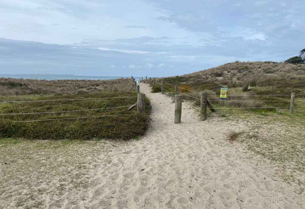 Wide sandy path between timber posts and wire fencing through coastal dunes. Level, uneven sand surface with footprints. Low scrub on both sides and a small yellow sign on the right fence.