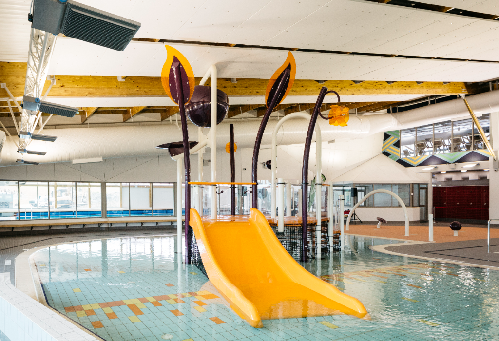 Banner image of Albany Stadium Pool