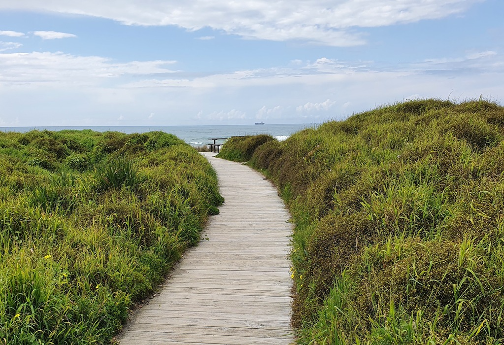 Level wooden boardwalk made of light-coloured planks winding through dense green coastal vegetation towards a picnic table and the ocean.