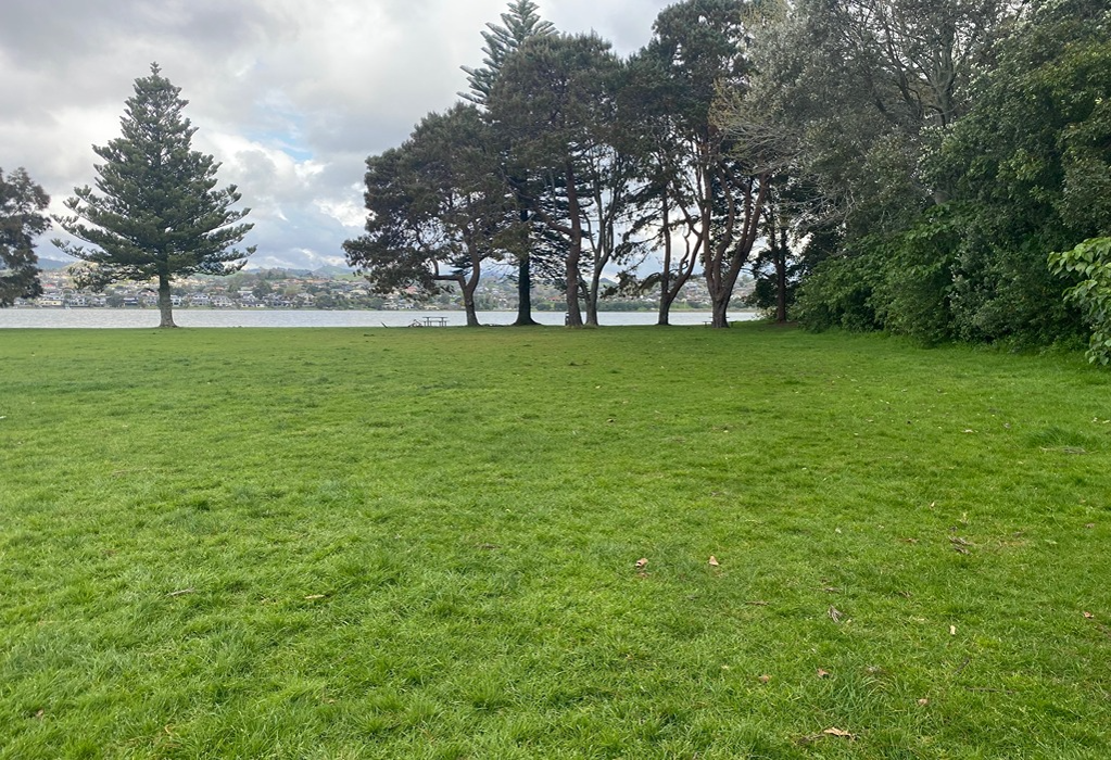 Level green lawn with no paved pathways. A wooden picnic table sits near a line of mature trees. Beyond is a body of water and houses on the distant shore under an overcast sky.