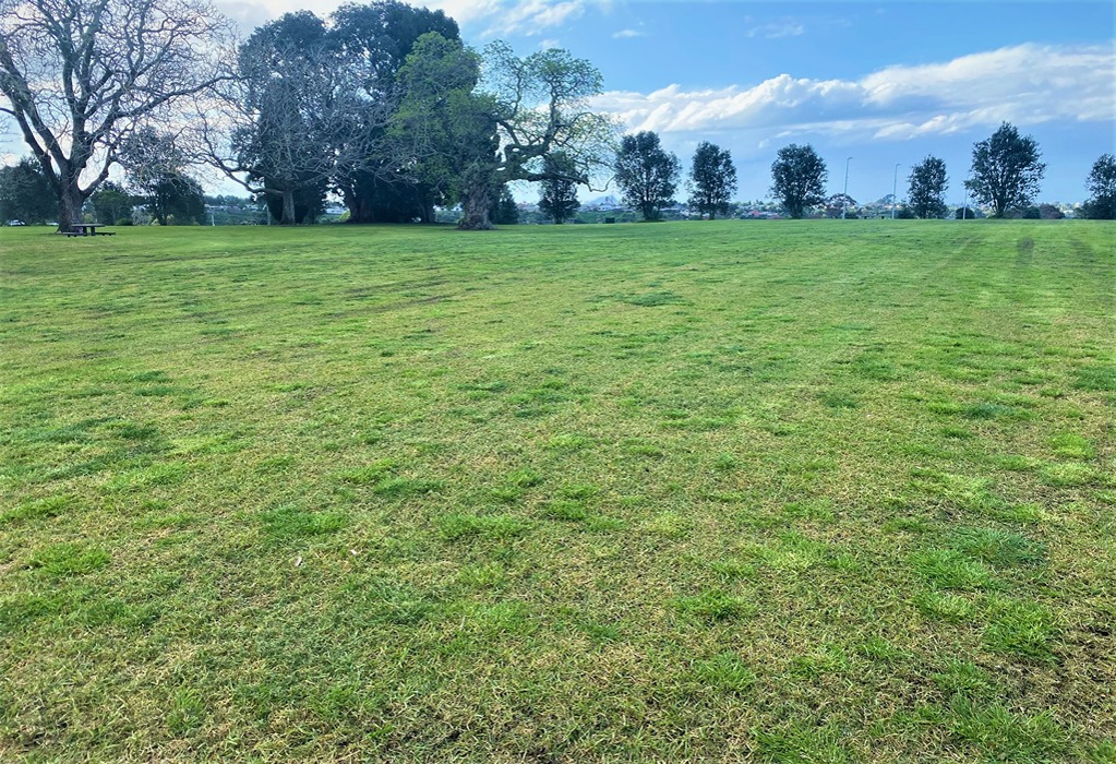 Wide, level grass field with green and yellow patches. A dark picnic table sits in the distance under large trees. No paved pathways or ramps are visible.