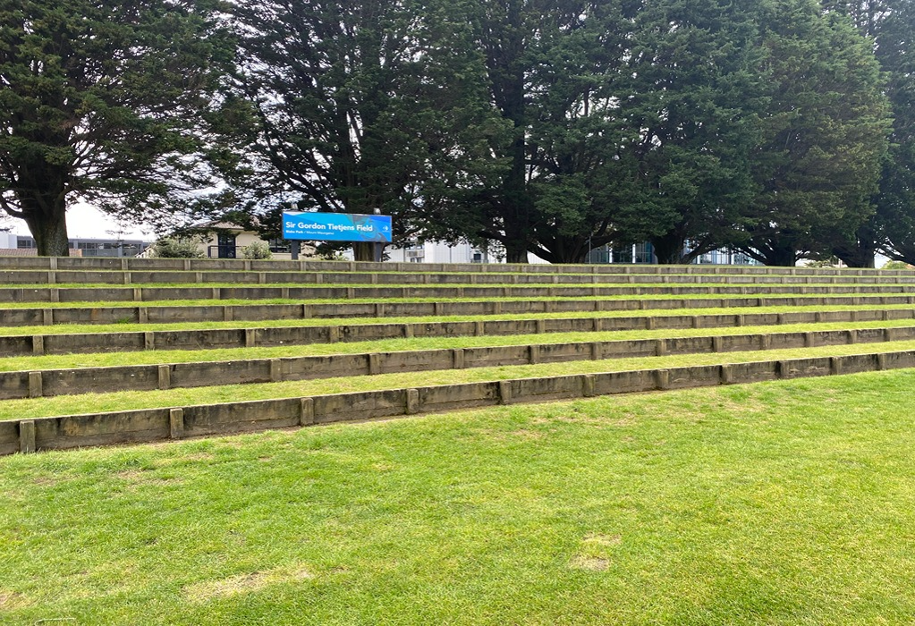 Tiered grass seating with timber sleeper retaining walls on a slope. A blue sign stands behind the top tier, backed by large trees. No handrails or paved paths are visible.