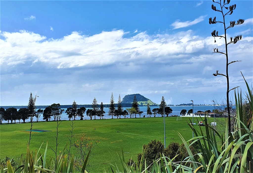 Banner image of Fergusson Park