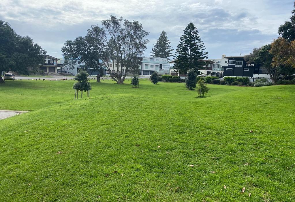 Sloping green grass park without paved pathways. Residential houses and tall pine trees in the background. A level concrete edge meets the grass on the far left.