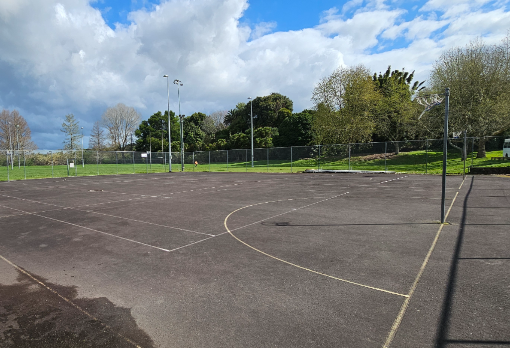 Level asphalt netball court with white and yellow markings, enclosed by a chain-link fence. Tall light poles and trees surround the flat, dark grey playing surface.