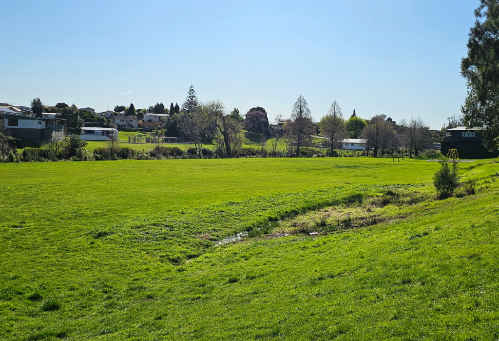 Large green grassy park with a sloping hill and a flat central field. Houses and trees line the background. A yellow swing set stands in the distance. No paved pathways or level access features.