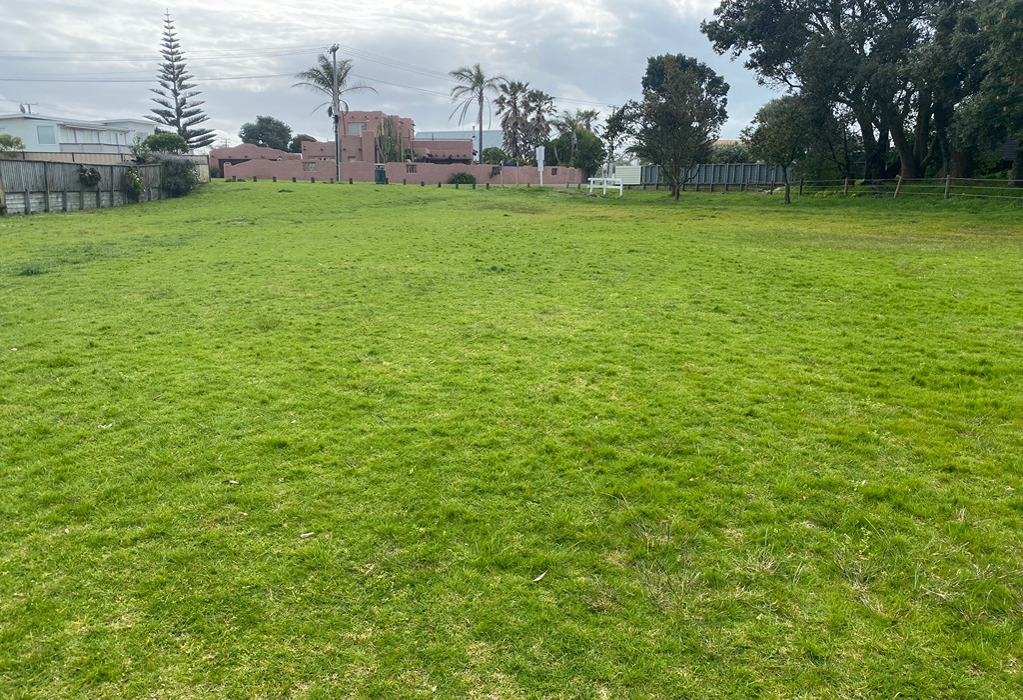 Large, level but uneven grassy field with no paved paths. Timber fences and bollards border the space. Residential houses and various trees, including palms, are in the background.