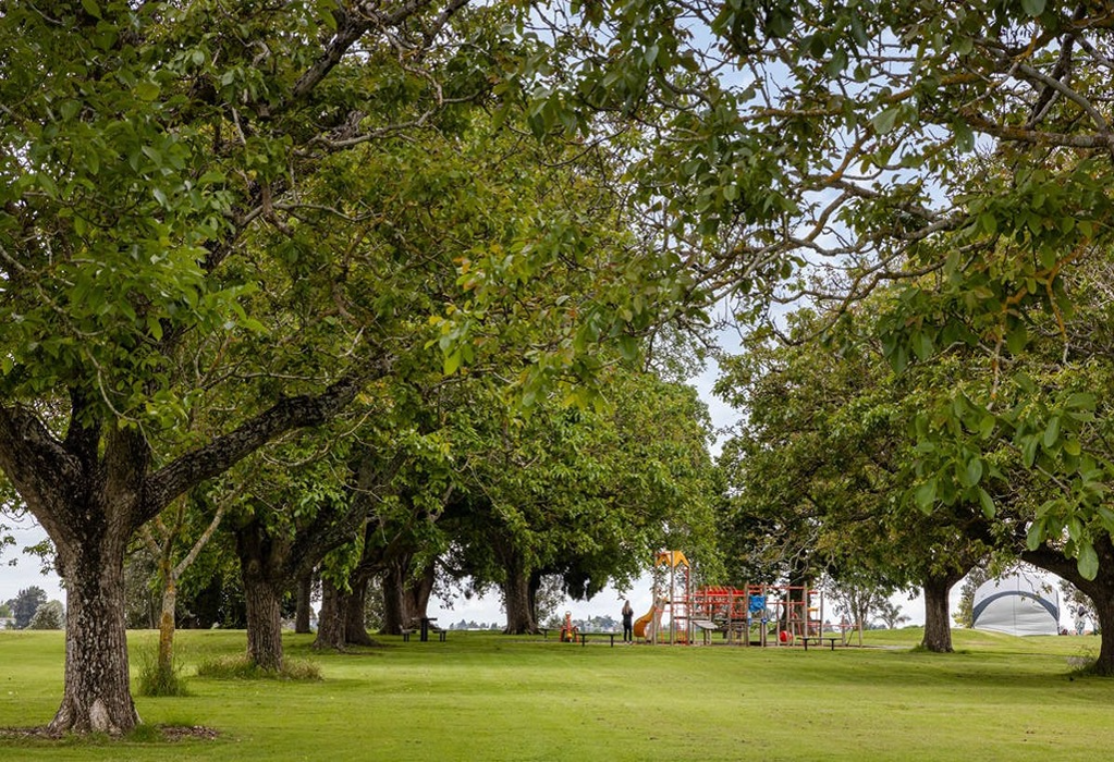 Level green lawn with large trees. A dark picnic table and bench sit on the grass. Background features colourful metal playground equipment and a white dome tent on flat terrain.