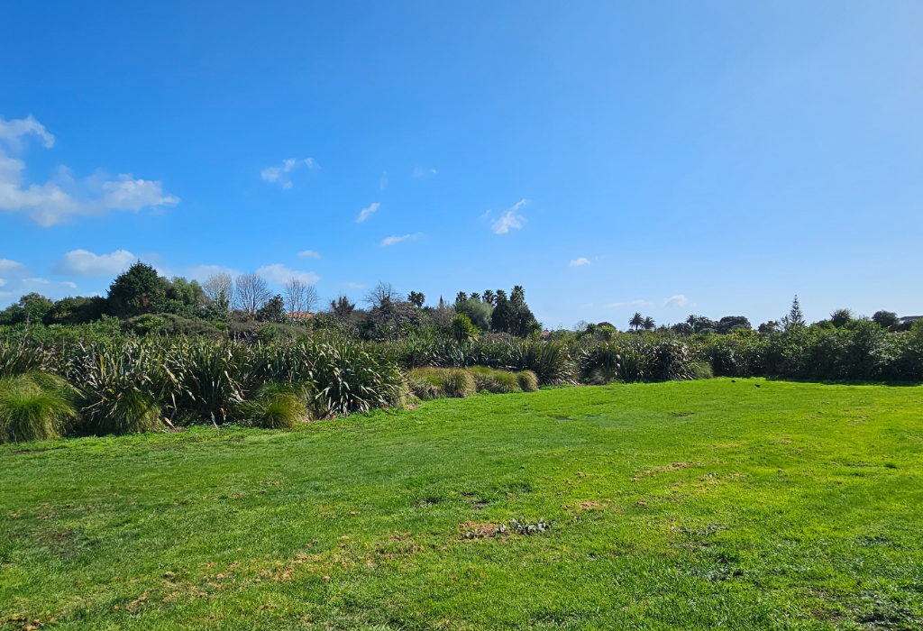 Level green lawn area bordered by dense bushes and mixed trees under a clear blue sky. No paved pathways, signage, or seating visible.