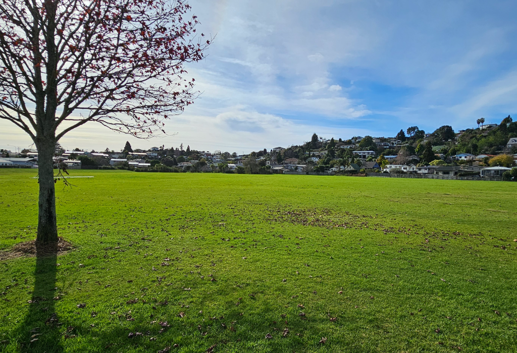 Level green grass space with scattered brown leaves. No paved paths or seating visible. A tree stands on the left. Houses are positioned on a sloping hill in the background.