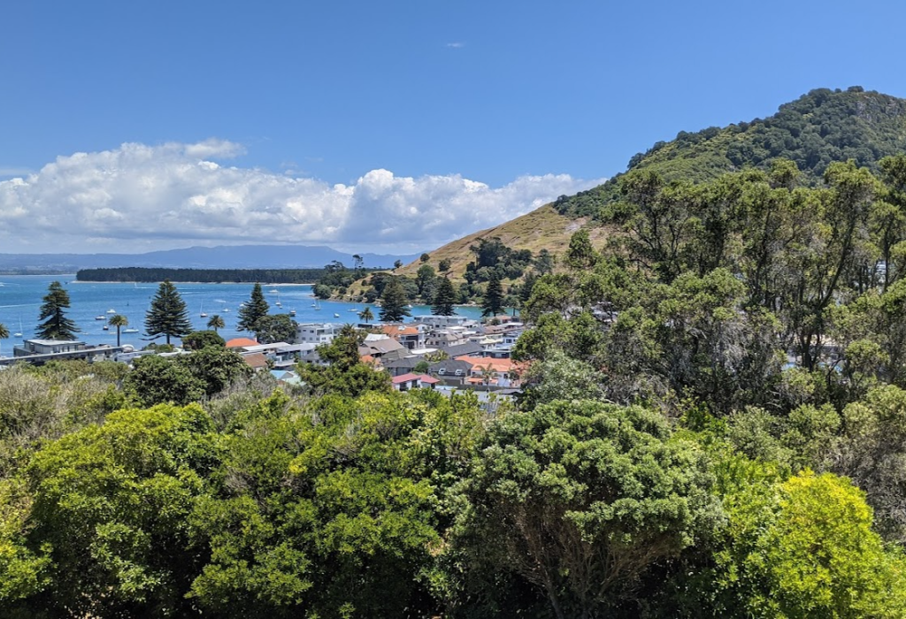 Banner image of Mount Drury - Hopukiore
