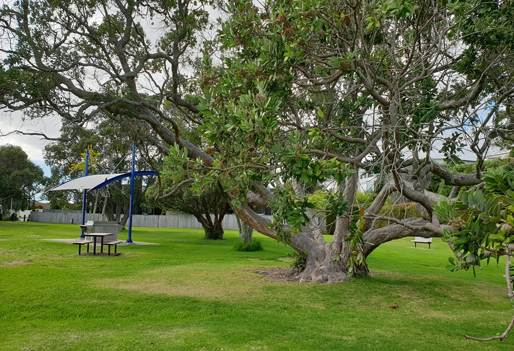 Level grassy parkland featuring a picnic table on a concrete base and a blue shade sail over a barbecue. A wooden bench sits on the grass near large, low-hanging trees.