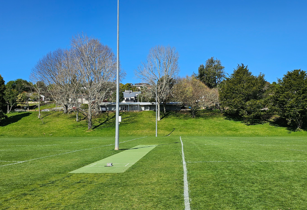 Banner image of Mitchell Park