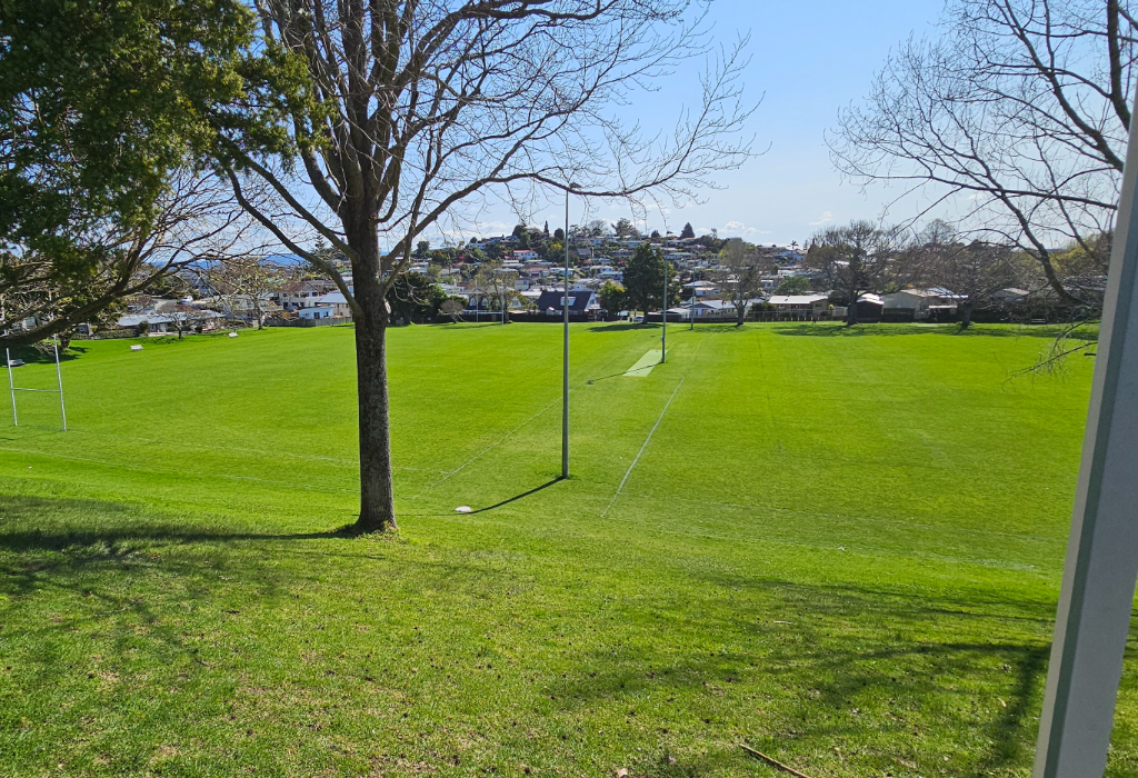 Sloping grass hill leading to a level green sports oval with rugby goals and a cricket pitch. Several white benches line the far left perimeter. Tall grey light poles stand on the field.