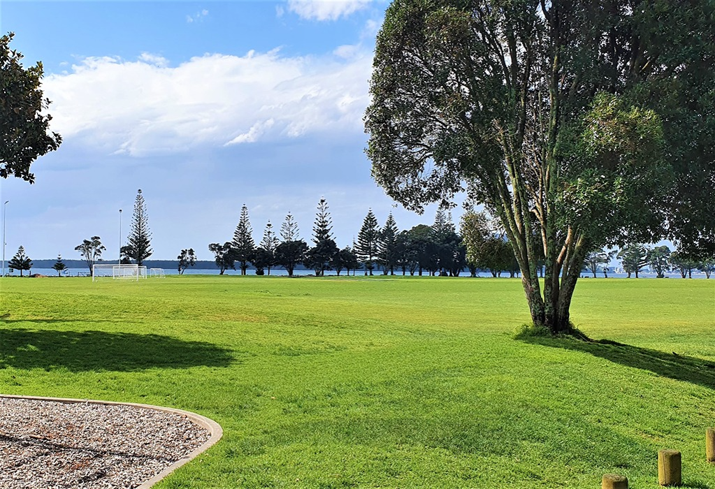 Wide level grass field with a large leafy tree and timber bollards. A gravelled area with a concrete border is in the foreground. Soccer goal on the grass. Tall pines line the waterfront.