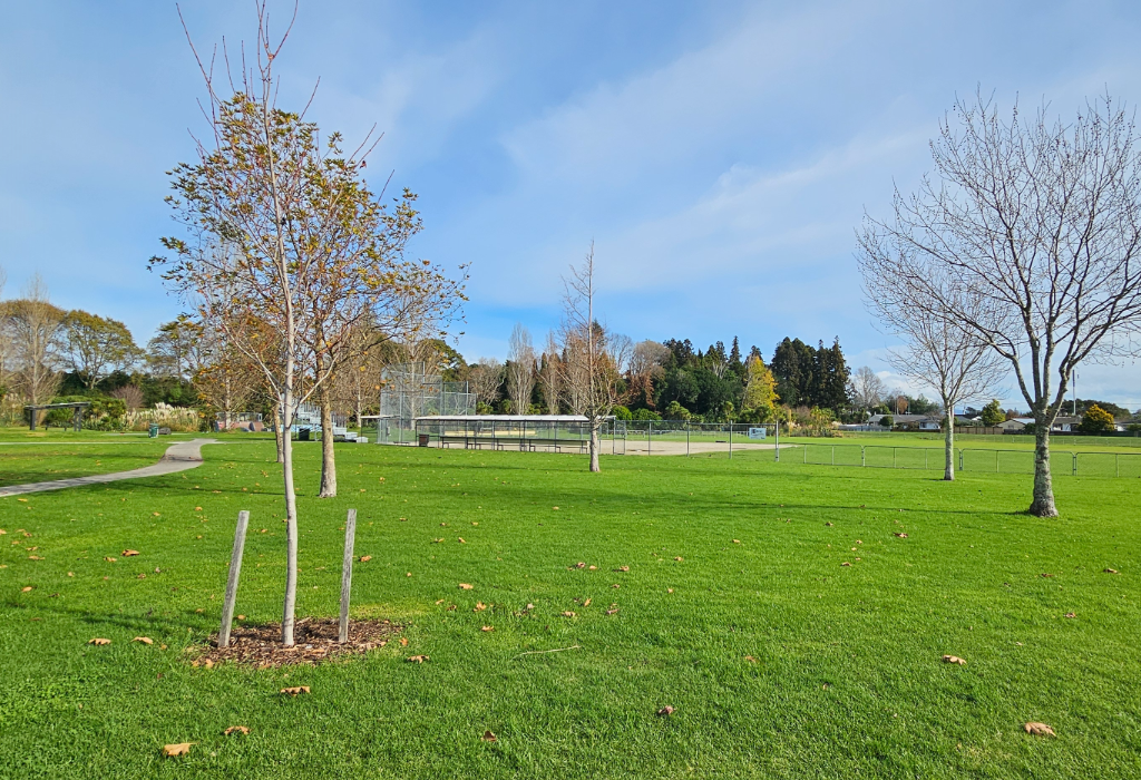 Banner image of Carlton Street Reserve
