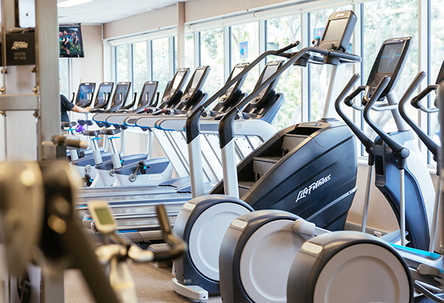 Treadmills and ellipticals on a level carpeted floor. Machines feature side handrails and digital screens. Narrow walkways between rows. Bright overhead lighting and large windows.