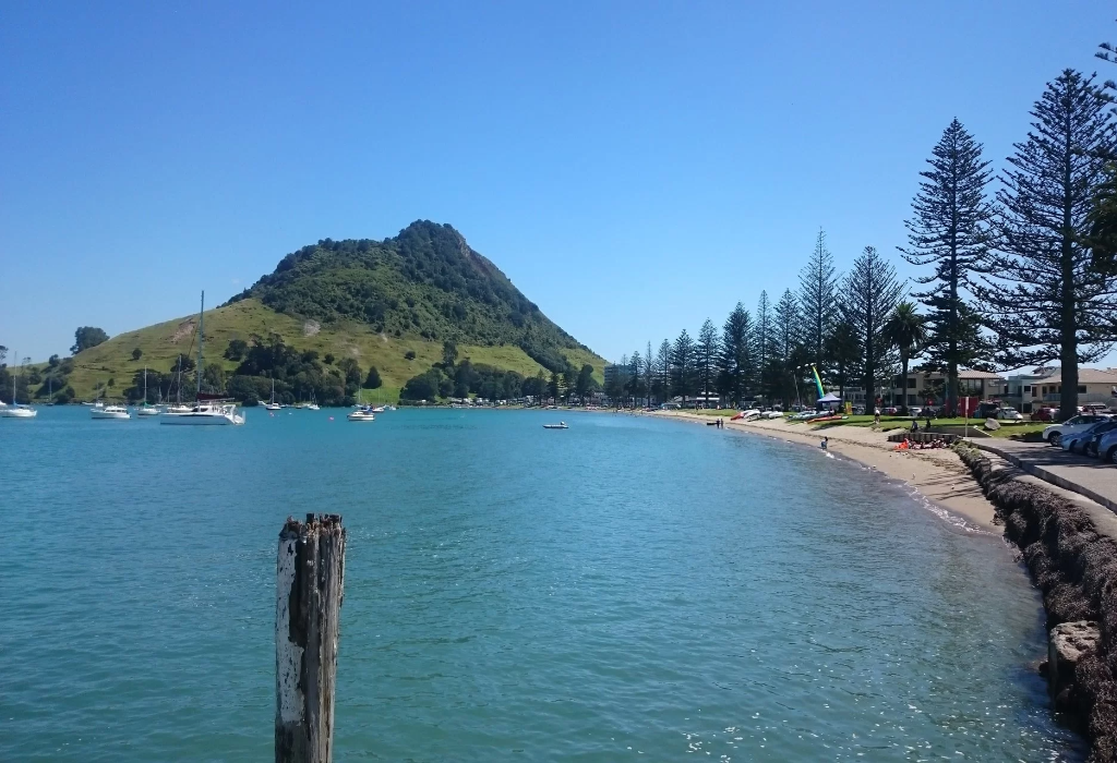 Banner image of Pilot Bay Beach