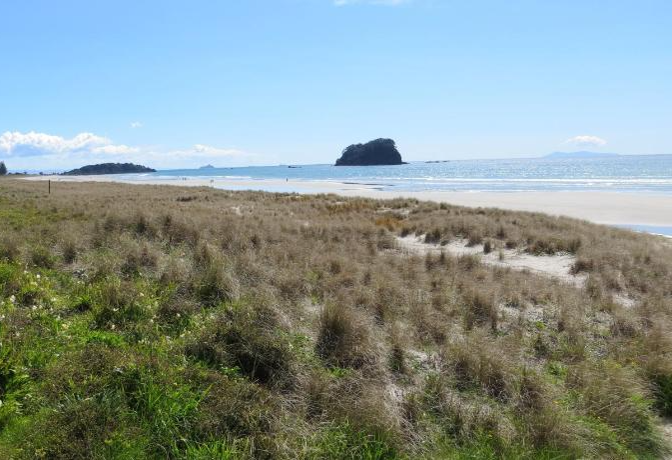 Banner image of Cutterscove Beach