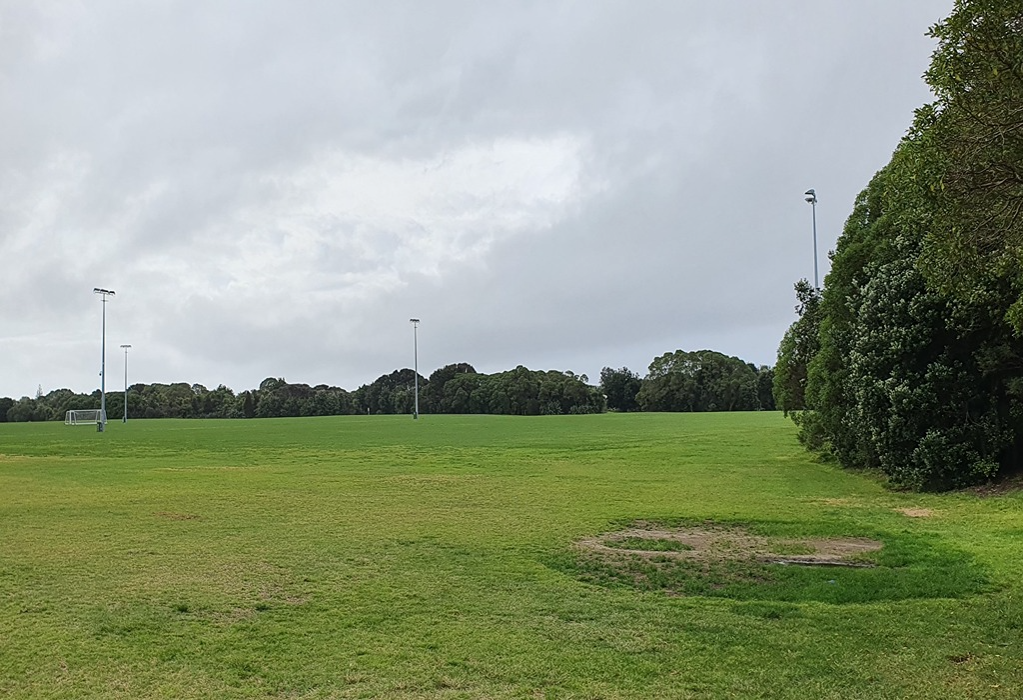 Level green grass sports field with a soccer goal and several tall metal light poles. Dense trees border the right side and the horizon under a grey overcast sky.