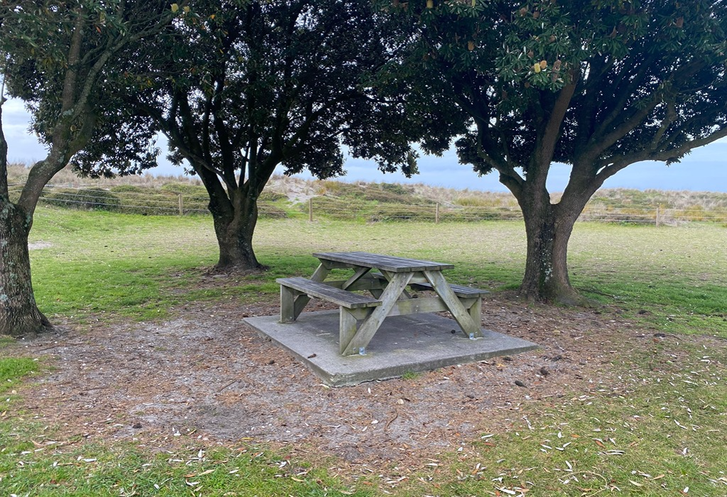 Weathered timber picnic table with integrated benches on a level concrete slab under large trees. Surrounding ground is unpaved grass and dirt with no accessible pathway to the table.