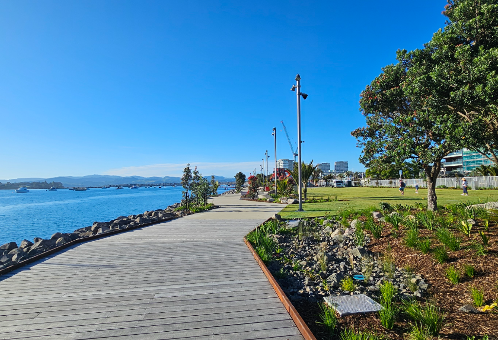 Banner image of The Strand Reserve