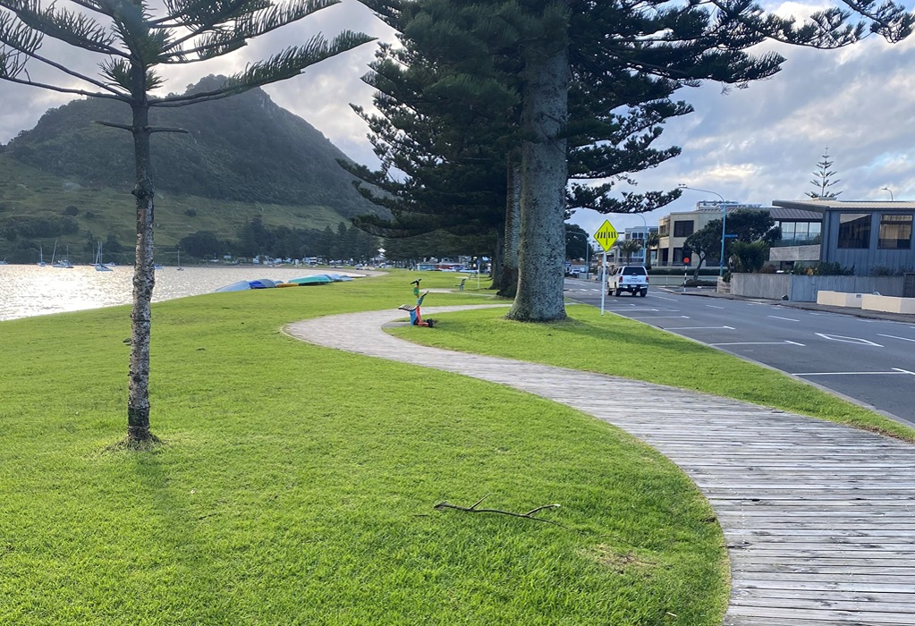 Wide, level timber boardwalk curves through grass. Multi-coloured bench and yellow crossing sign nearby. Adjacent asphalt road with parallel parking. Waterfront and a hill in the background.