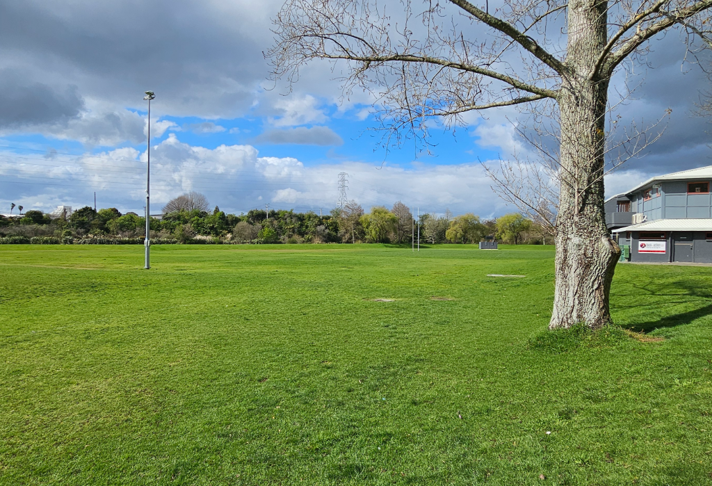 Banner image of Greerton Park