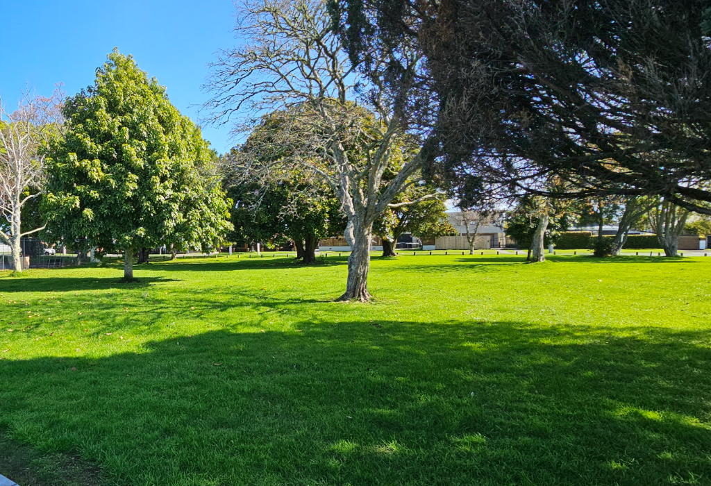 Banner image of Matua Park