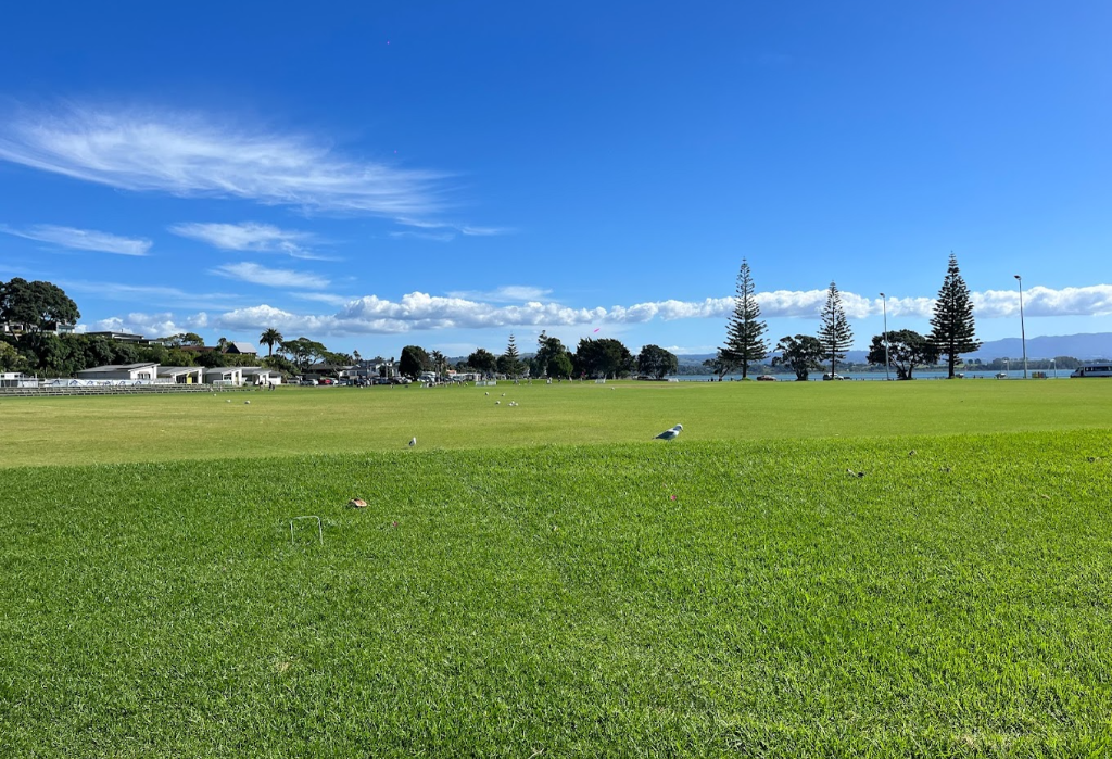 Level, wide expanse of green grass with small metal hoops in the foreground. Tall pine trees, light poles, and low buildings line the distant, flat horizon under a clear sky.