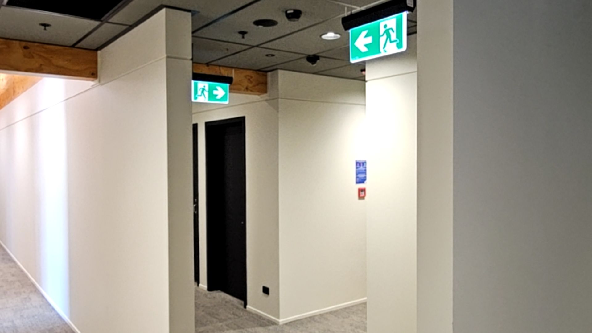 Tauranga Council Building - neurodiverse