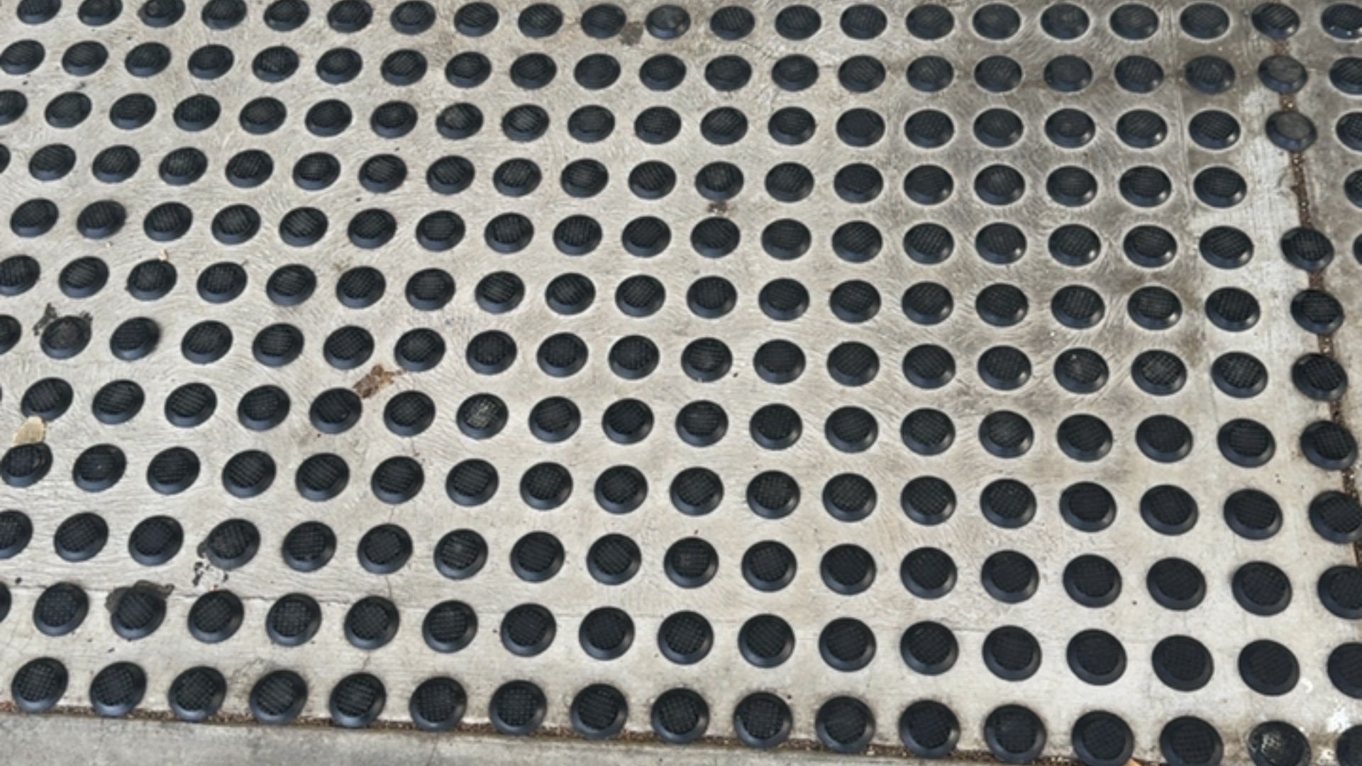 Regular grid of raised black circular tactile studs on a flat, light grey ground surface.