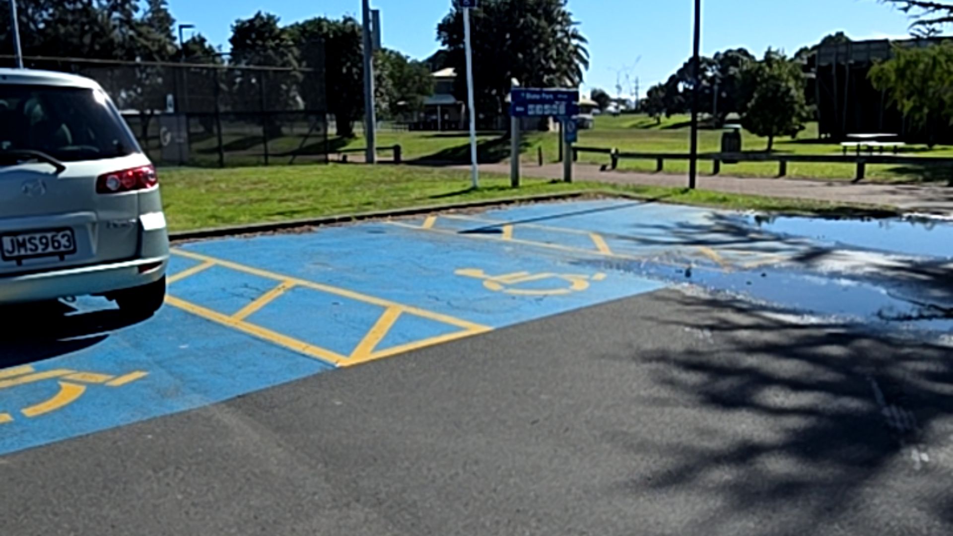 Two blue accessible parking spaces with yellow wheelchair symbols and hatched markings on level asphalt, adjacent to a grassy park area with signage.