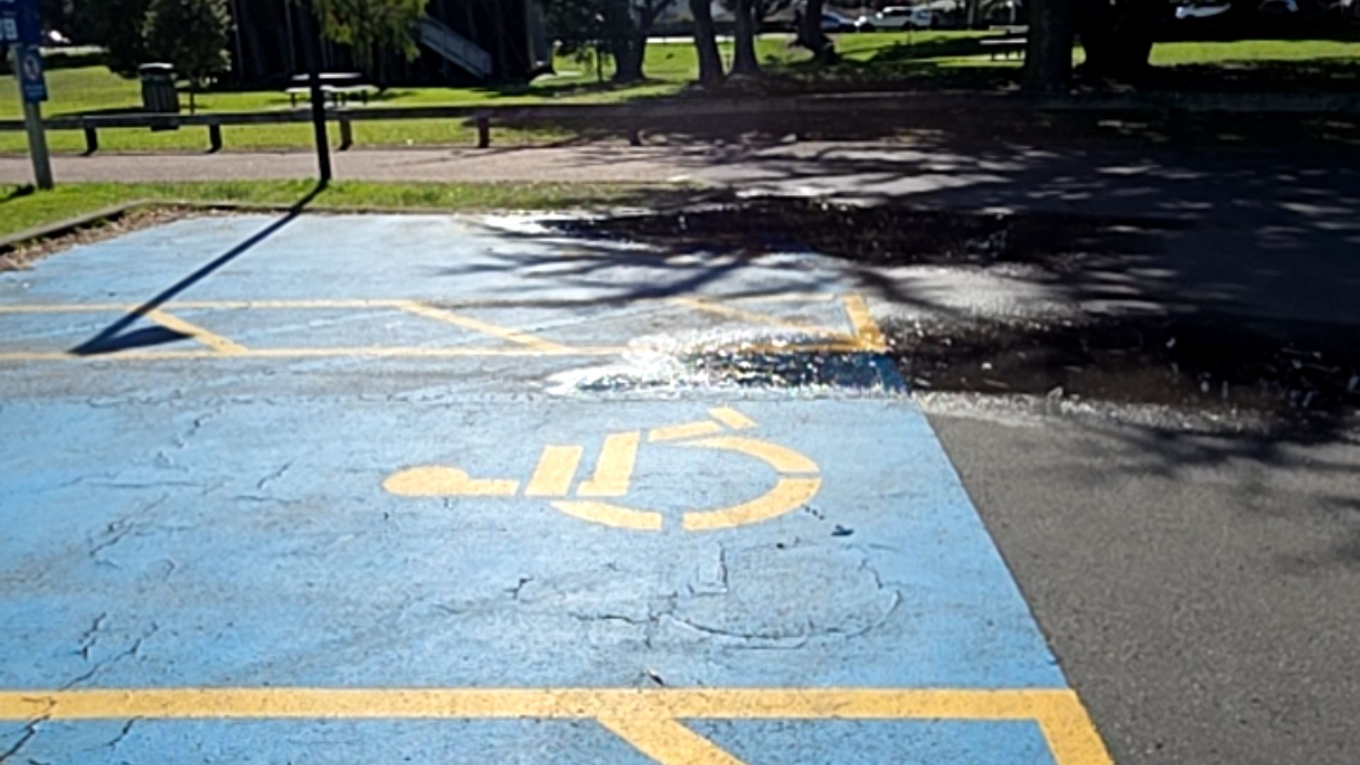 Blue painted accessible parking space with yellow wheelchair symbol and yellow-lined access aisle. A large puddle covers part of the cracked asphalt surface.