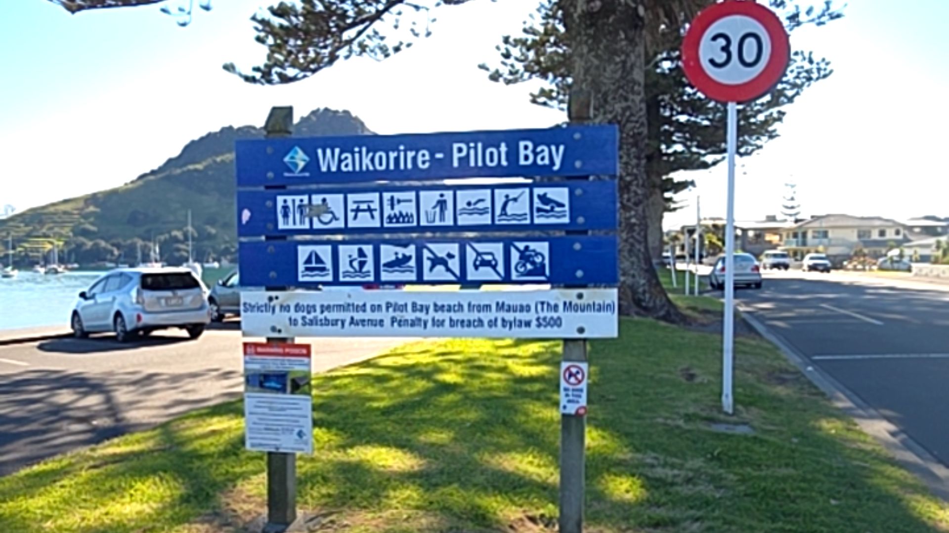Blue sign with wheelchair and facility icons. Level grassy area adjacent to a bitumen car park and concrete footpath. A 30 speed limit sign is mounted on a white pole.