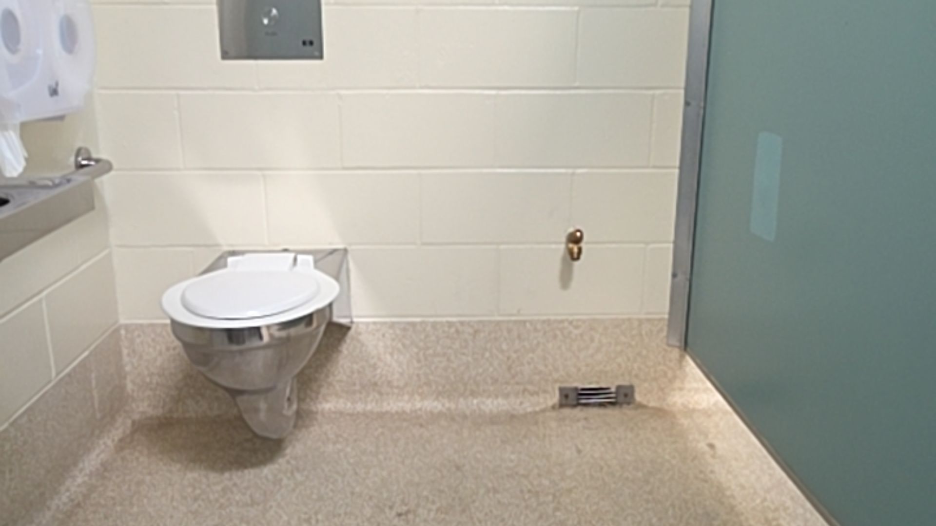 Wall-mounted stainless steel toilet with white seat. Off-white brick walls, light-coloured textured non-slip floor. Metal grab rail on left and green partition on right.