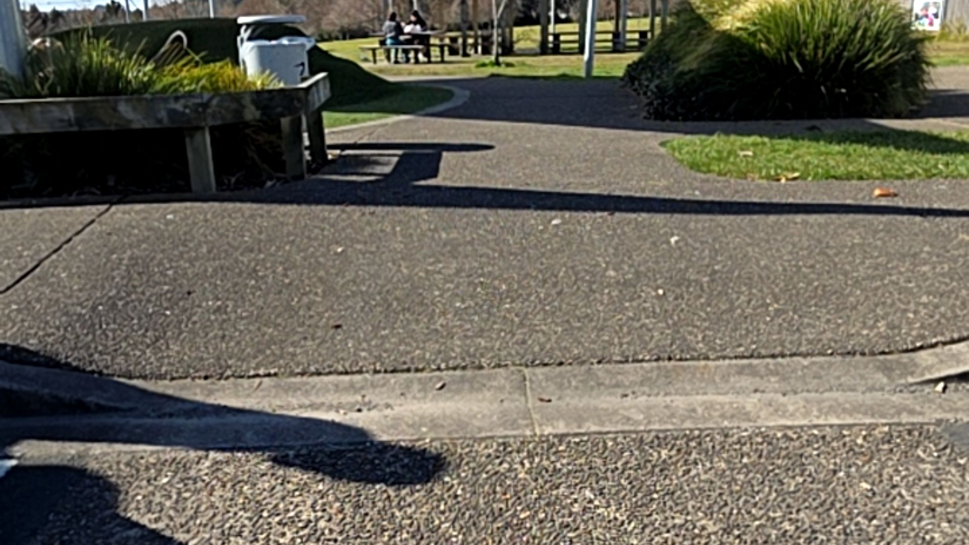Wide aggregate concrete pathway with a shallow ramp transition. A timber bench seat sits on the left, with level grass and shrubbery bordering the paved areas.