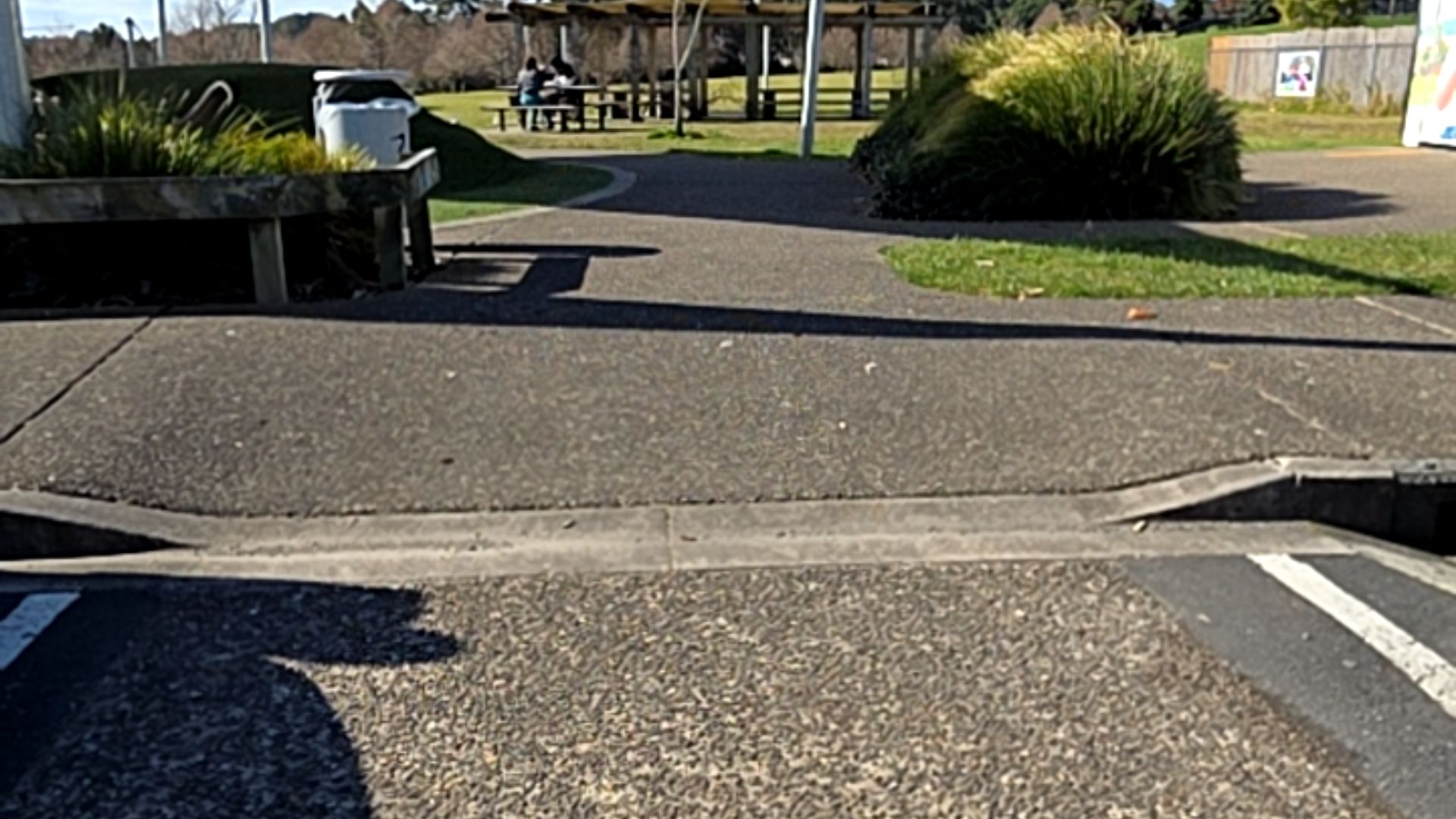 Wide aggregate concrete pathway with a shallow kerb ramp leading from a parking area to a covered picnic pavilion. Wooden seating and bin to the left. Level, unobstructed access.