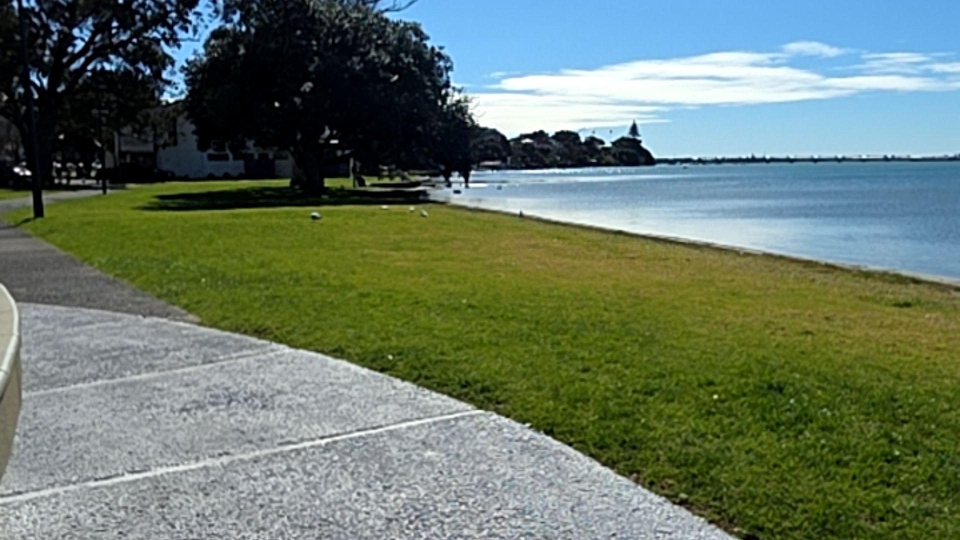 Memorial Park - wheelchair mobility scooter