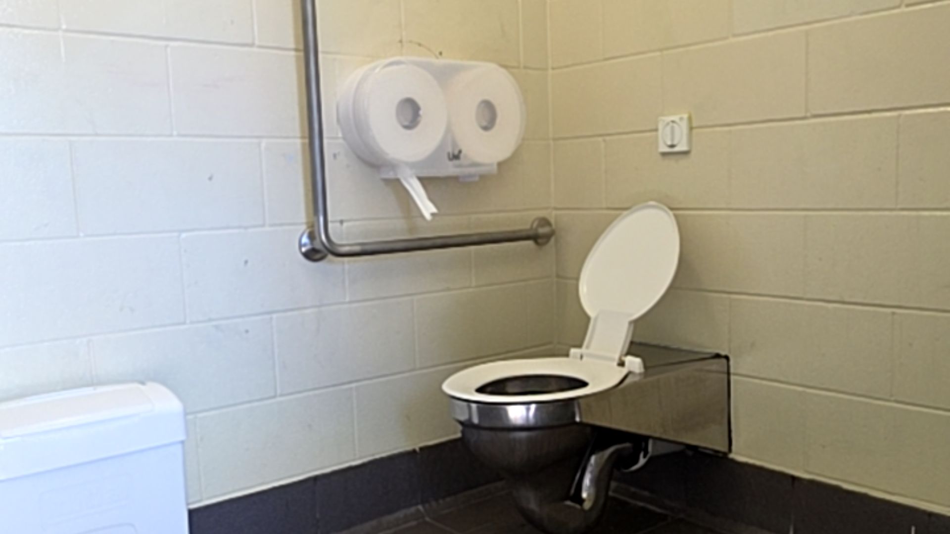 Stainless steel toilet with white seat. Silver metal grab rail on left wall with white dual-roll paper dispenser above. White flush button on right wall. Light grey tiles and dark grey floor.