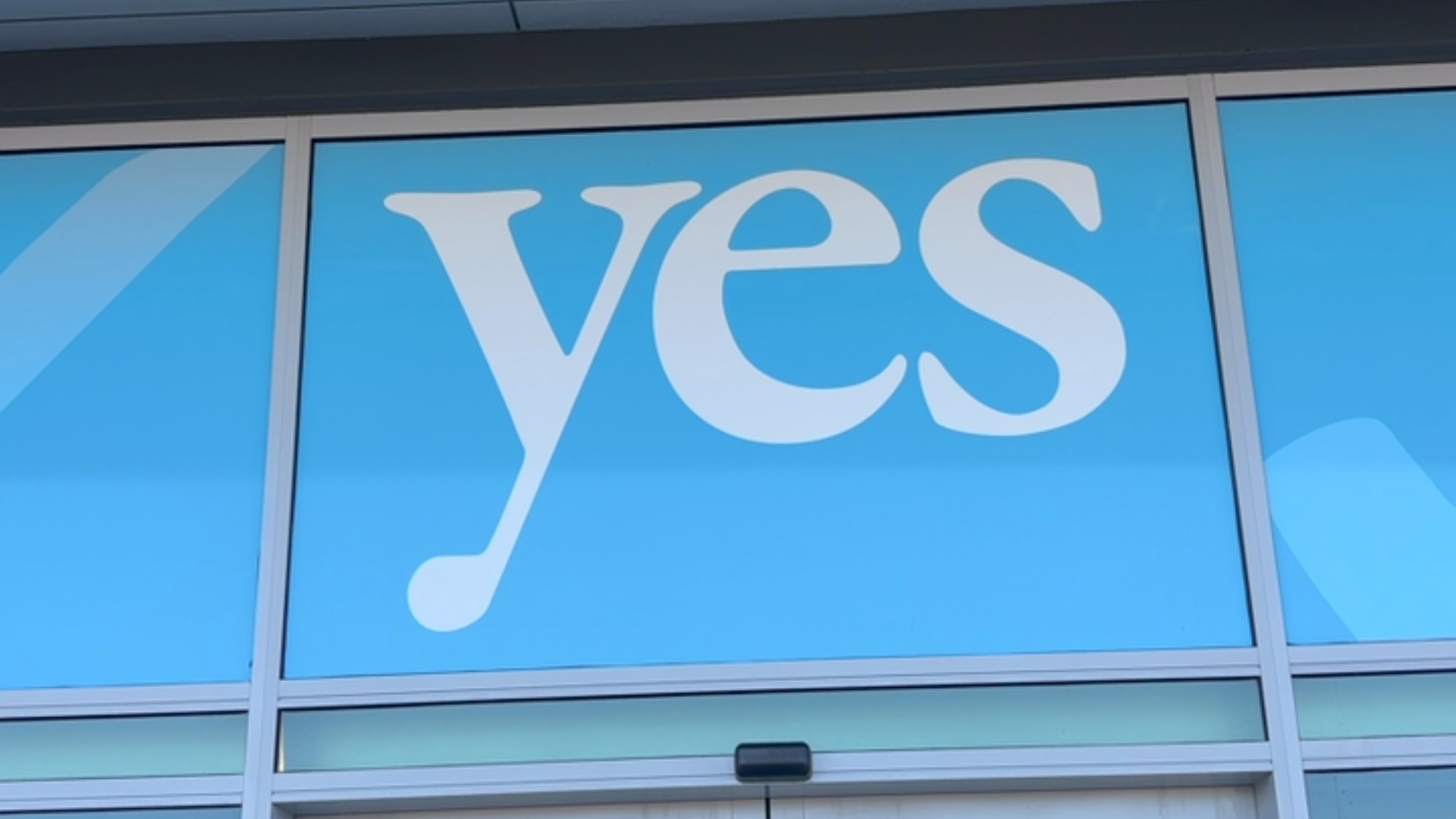 YES Disability  - blindness low vision