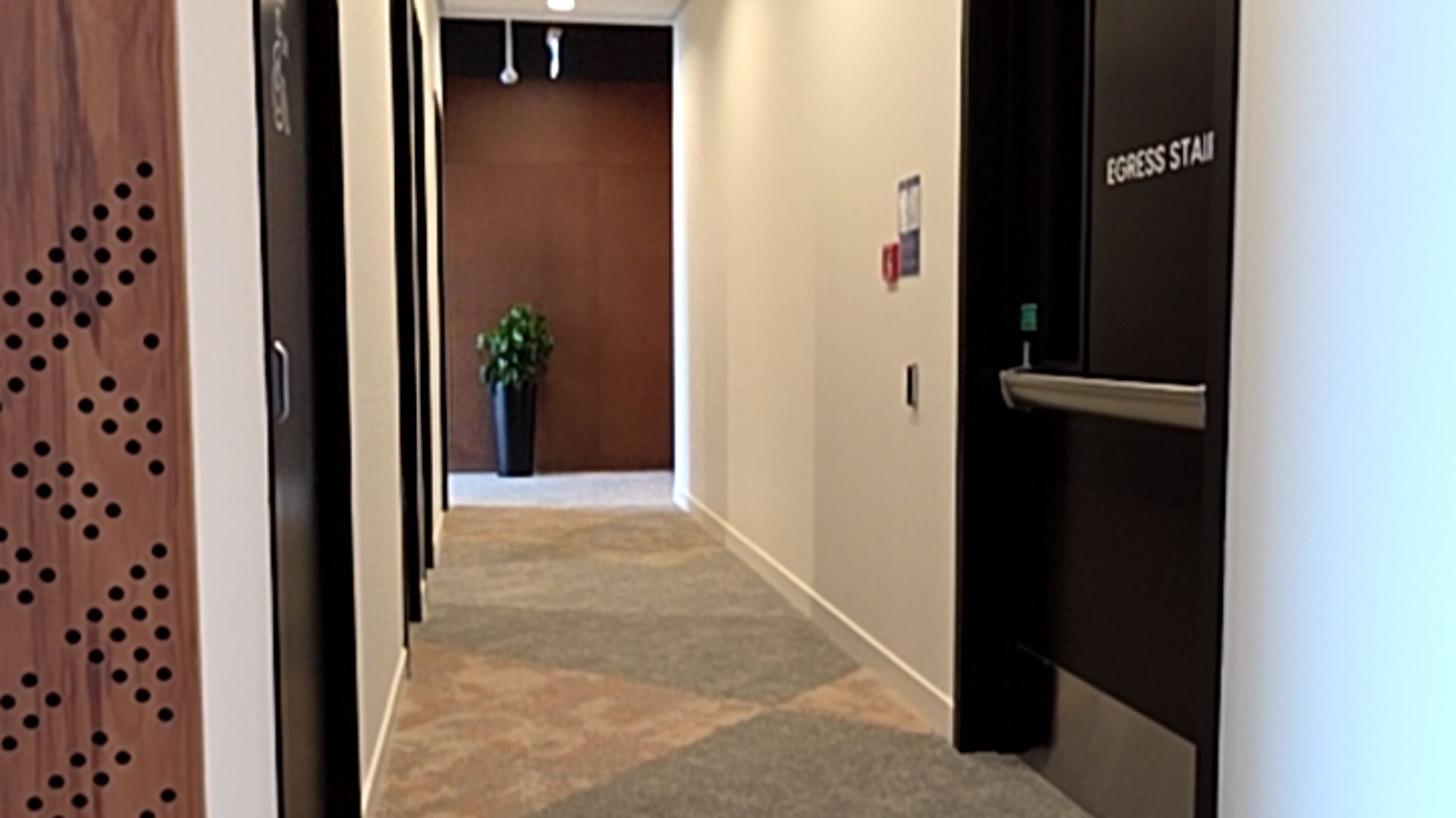 Level hallway with patterned carpet. Black door on right marked EGRESS STAIR with horizontal crash bar. Accessible door on left with wheelchair symbol. Clear, brightly lit pathway.